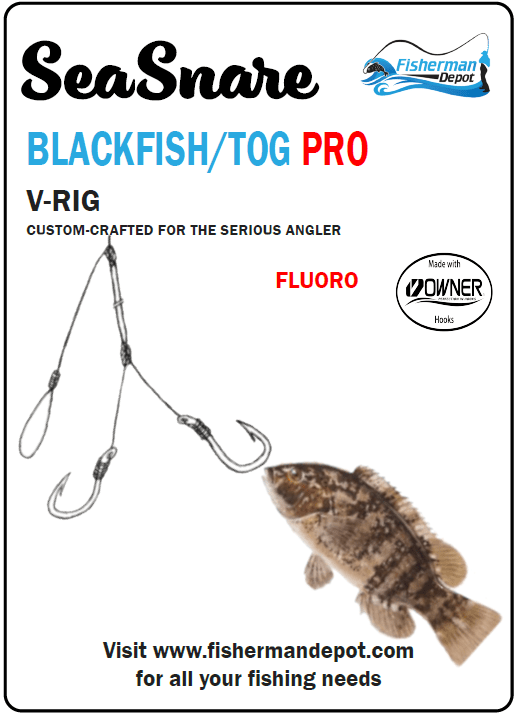 SeaSnare Tog Pro - Professional Blackfish / Tog V Rig - - Owner Hooks 1 / Pk / 4/0 Owner / 50lb Fluorocarbon Leader