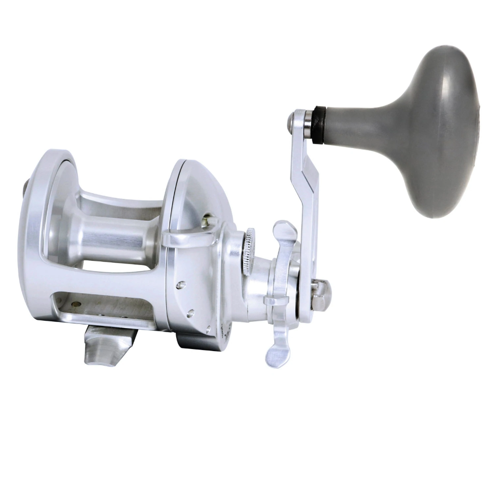 Accurate Tern 2 Star Drag Reel – Fisherman Depot