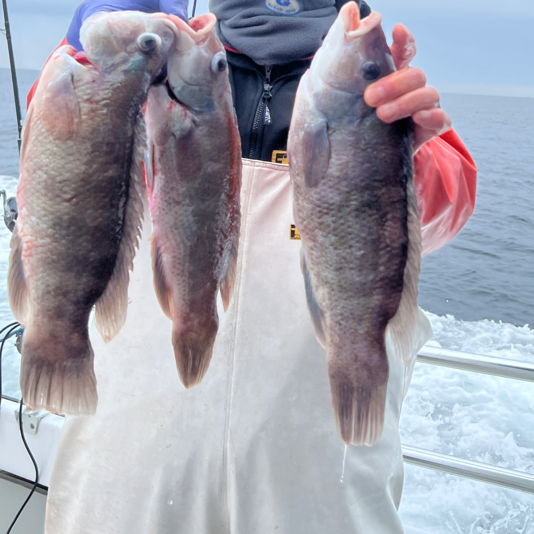 BERGALL TRIPS – Fisherman Depot
