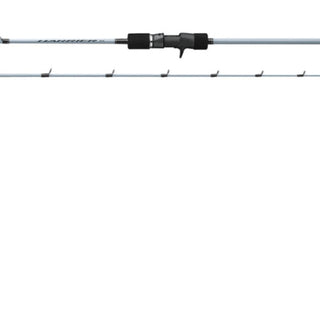 Jigging Rods