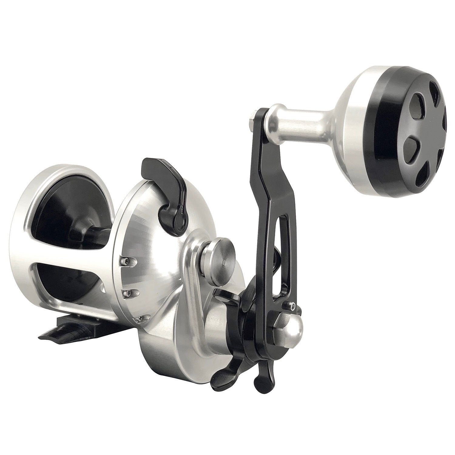 Accurate Tern Star Drag Conventional Reel